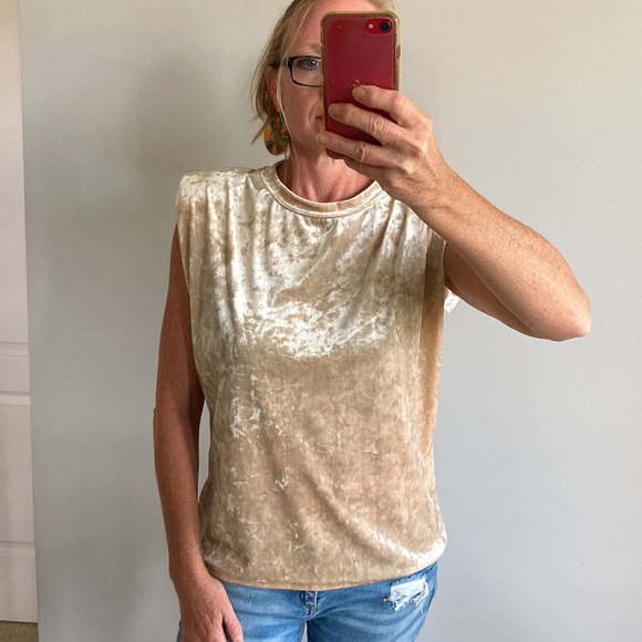 Beige Color Velvet Sleeveless Top - Picture 3 of 10